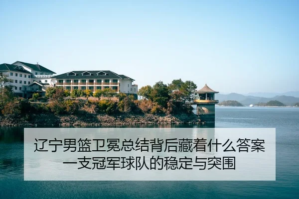 liao-ning-nan-lan-wei-mian-zong-jie-bei-hou-cang-zhe-shen-me-da-an-yi-zhi-guan-jun-qiu-dui-de-wen-ding-yu-tu-wei-3-675.jpg